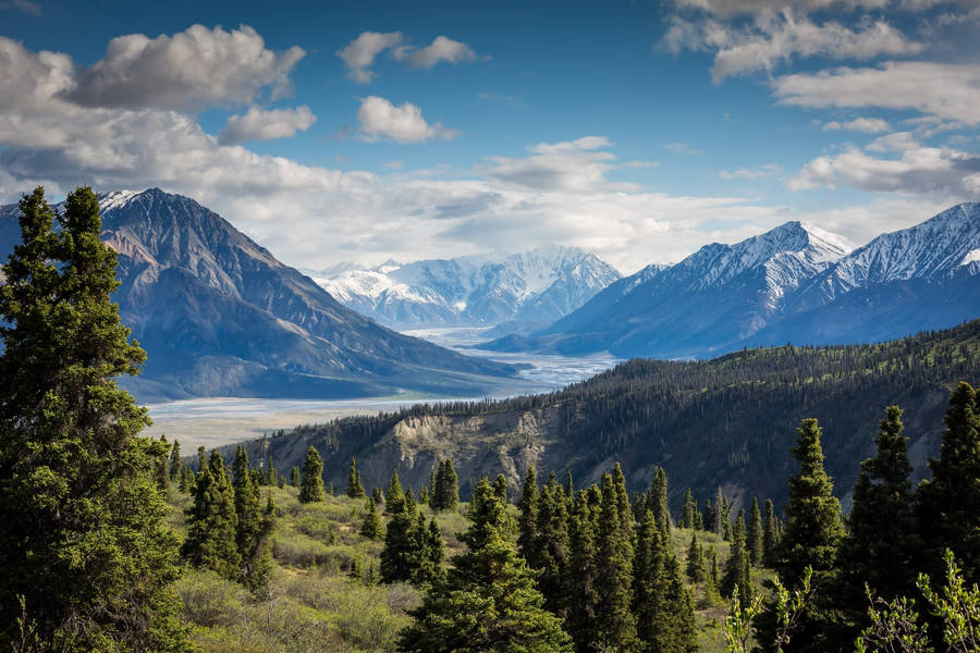 Mountain landscape with snow-capped peaks, valley and evergreen forest